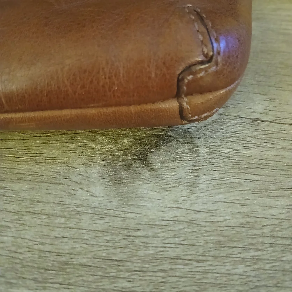 Coach stylish brown